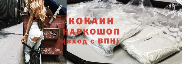 винт Абаза